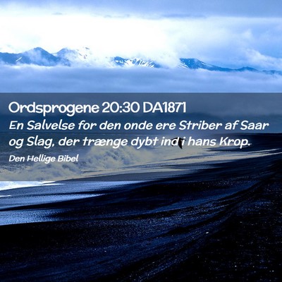 Picture 02 - Ordsprogene 20:30 DA1871 - En Salvelse for den onde ere Striber af Saar og - Bible Verse Picture
