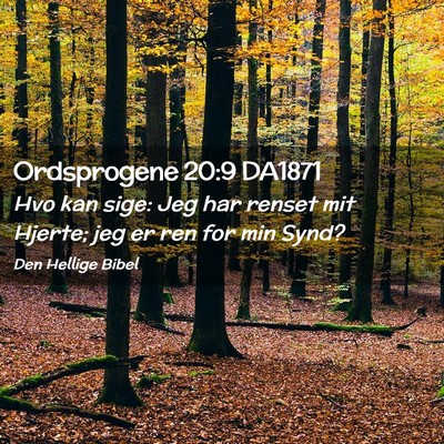 Picture 02 - Ordsprogene 20:9 DA1871 - Hvo kan sige: Jeg har renset mit Hjerte; jeg er - Bible Verse Picture