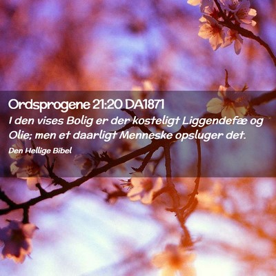 Picture 02 - Ordsprogene 21:20 DA1871 - I den vises Bolig er der kosteligt Liggendefæ og - Bible Verse Picture