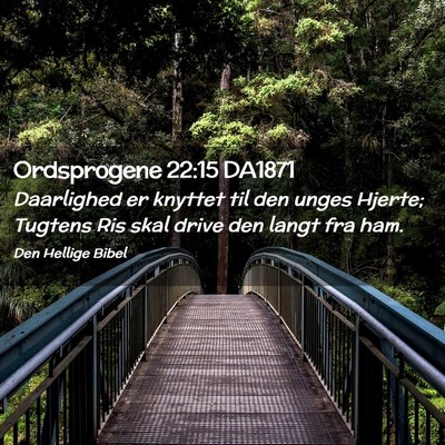 Picture 02 - Ordsprogene 22:15 DA1871 - Daarlighed er knyttet til den unges Hjerte; - Bible Verse Picture