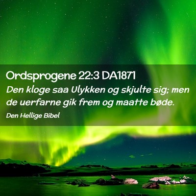 Picture 02 - Ordsprogene 22:3 DA1871 - Den kloge saa Ulykken og skjulte sig; men de - Bible Verse Picture