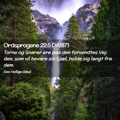 Picture 02 - Ordsprogene 22:5 DA1871 - Torne og Snarer ere paa den forvendtes Vej; den, - Bible Verse Picture