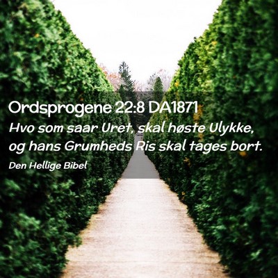 Picture 02 - Ordsprogene 22:8 DA1871 - Hvo som saar Uret, skal høste Ulykke, og hans - Bible Verse Picture