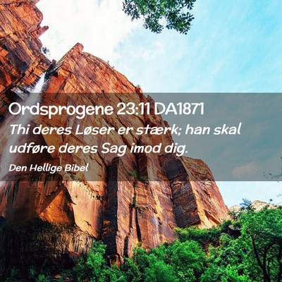 Picture 02 - Ordsprogene 23:11 DA1871 - Thi deres Løser er stærk; han skal udføre - Bible Verse Picture