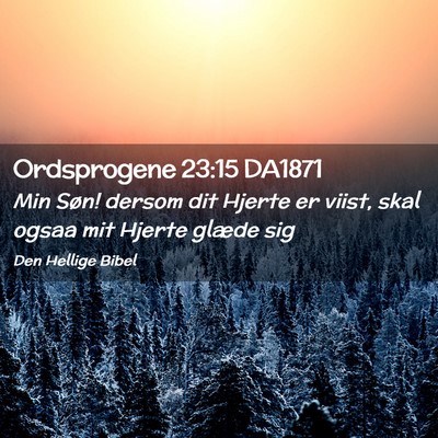 Picture 02 - Ordsprogene 23:15 DA1871 - Min Søn! dersom dit Hjerte er viist, skal ogsaa - Bible Verse Picture