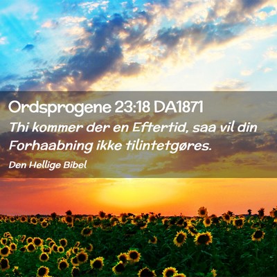 Picture 02 - Ordsprogene 23:18 DA1871 - Thi kommer der en Eftertid, saa vil din - Bible Verse Picture