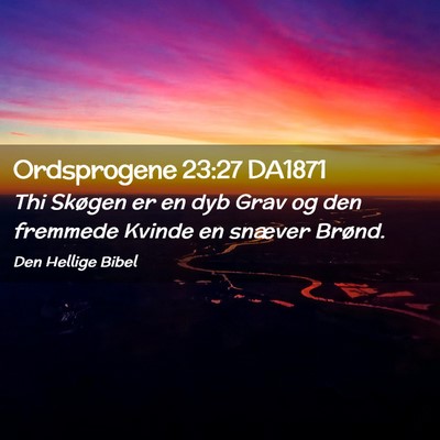 Picture 02 - Ordsprogene 23:27 DA1871 - Thi Skøgen er en dyb Grav og den fremmede Kvinde - Bible Verse Picture