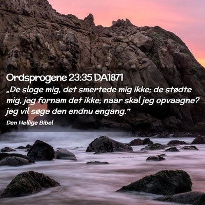 Picture 02 - Ordsprogene 23:35 DA1871 - „De sloge mig, det smertede mig ikke; de - Bible Verse Picture