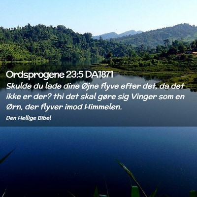 Picture 02 - Ordsprogene 23:5 DA1871 - Skulde du lade dine Øjne flyve efter det, da det - Bible Verse Picture