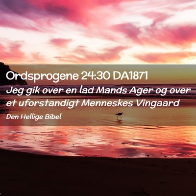 Picture 02 - Ordsprogene 24:30 DA1871 - Jeg gik over en lad Mands Ager og over et - Bible Verse Picture