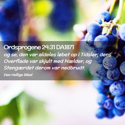 Picture 02 - Ordsprogene 24:31 DA1871 - og se, den var aldeles løbet op i Tidsler, dens - Bible Verse Picture