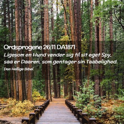Picture 02 - Ordsprogene 26:11 DA1871 - Ligesom en Hund vender sig til sit eget Spy, saa - Bible Verse Picture