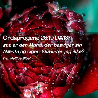 Picture 02 - Ordsprogene 26:19 DA1871 - saa er den Mand, der besviger sin Næste og - Bible Verse Picture