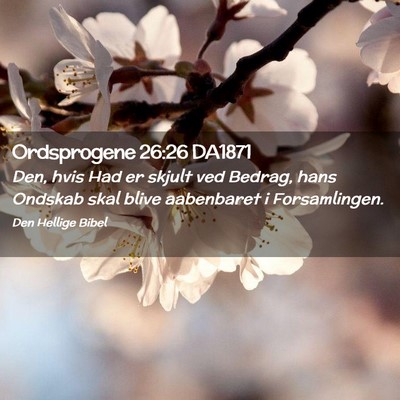 Picture 02 - Ordsprogene 26:26 DA1871 - Den, hvis Had er skjult ved Bedrag, hans Ondskab - Bible Verse Picture