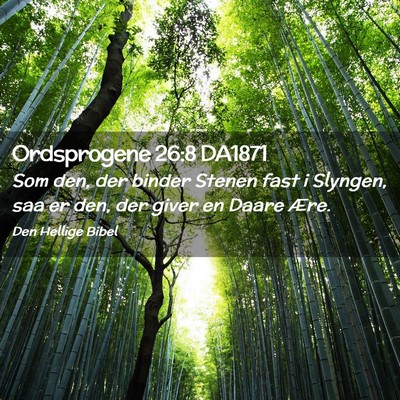 Picture 02 - Ordsprogene 26:8 DA1871 - Som den, der binder Stenen fast i Slyngen, saa er - Bible Verse Picture