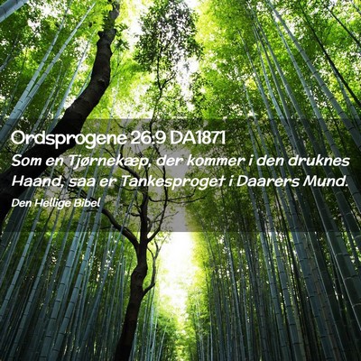 Picture 02 - Ordsprogene 26:9 DA1871 - Som en Tjørnekæp, der kommer i den druknes - Bible Verse Picture