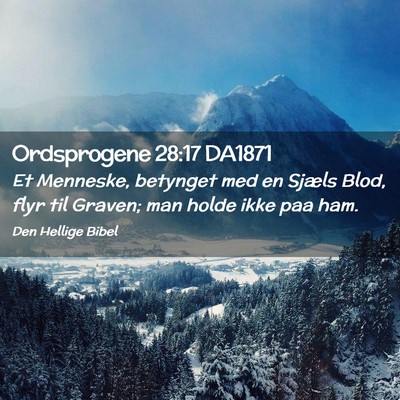 Picture 02 - Ordsprogene 28:17 DA1871 - Et Menneske, betynget med en Sjæls Blod, flyr - Bible Verse Picture