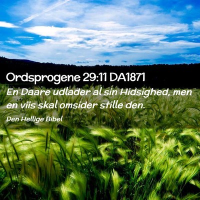Picture 02 - Ordsprogene 29:11 DA1871 - En Daare udlader al sin Hidsighed, men en viis - Bible Verse Picture