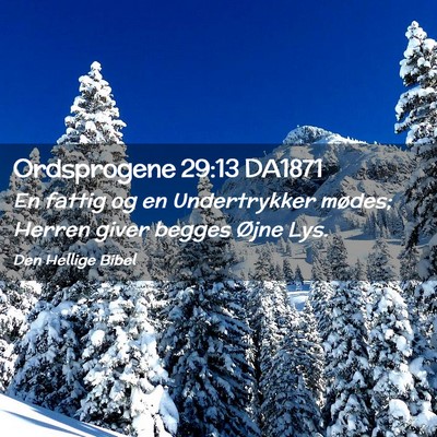 Picture 02 - Ordsprogene 29:13 DA1871 - En fattig og en Undertrykker mødes; Herren giver - Bible Verse Picture