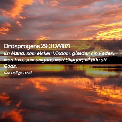 Picture 02 - Ordsprogene 29:3 DA1871 - En Mand, som elsker Visdom, glæder sin Fader; - Bible Verse Picture