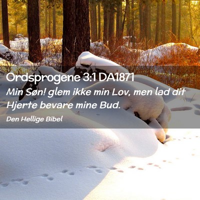 Picture 02 - Ordsprogene 3:1 DA1871 - Min Søn! glem ikke min Lov, men lad dit Hjerte - Bible Verse Picture