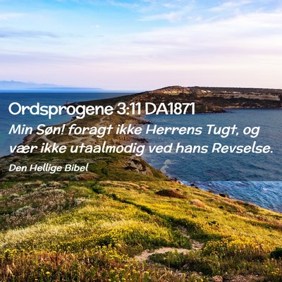 Picture 02 - Ordsprogene 3:11 DA1871 - Min Søn! foragt ikke Herrens Tugt, og vær ikke - Bible Verse Picture