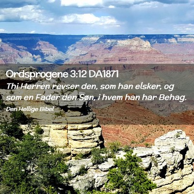 Picture 02 - Ordsprogene 3:12 DA1871 - Thi Herren revser den, som han elsker, og som en - Bible Verse Picture
