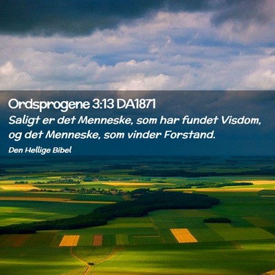 Picture 02 - Ordsprogene 3:13 DA1871 - Saligt er det Menneske, som har fundet Visdom, og - Bible Verse Picture