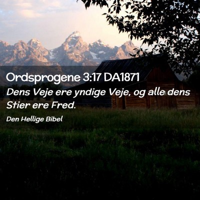 Picture 02 - Ordsprogene 3:17 DA1871 - Dens Veje ere yndige Veje, og alle dens Stier ere - Bible Verse Picture