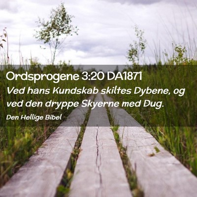 Picture 02 - Ordsprogene 3:20 DA1871 - Ved hans Kundskab skiltes Dybene, og ved den - Bible Verse Picture