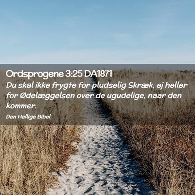 Picture 02 - Ordsprogene 3:25 DA1871 - Du skal ikke frygte for pludselig Skræk, ej - Bible Verse Picture