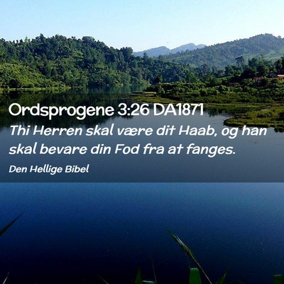 Picture 02 - Ordsprogene 3:26 DA1871 - Thi Herren skal være dit Haab, og han skal - Bible Verse Picture