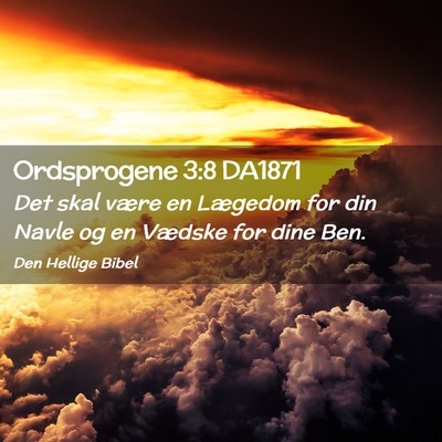 Picture 02 - Ordsprogene 3:8 DA1871 - Det skal være en Lægedom for din Navle og en - Bible Verse Picture