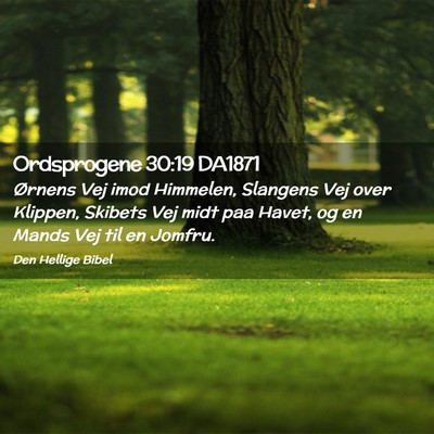 Picture 02 - Ordsprogene 30:19 DA1871 - Ørnens Vej imod Himmelen, Slangens Vej over - Bible Verse Picture