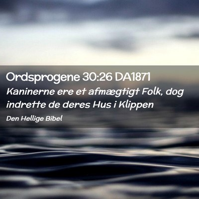 Picture 02 - Ordsprogene 30:26 DA1871 - Kaninerne ere et afmægtigt Folk, dog indrette de - Bible Verse Picture