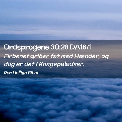 Picture 02 - Ordsprogene 30:28 DA1871 - Firbenet griber fat med Hænder, og dog er det i - Bible Verse Picture