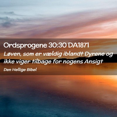Picture 02 - Ordsprogene 30:30 DA1871 - Løven, som er vældig iblandt Dyrene og ikke - Bible Verse Picture