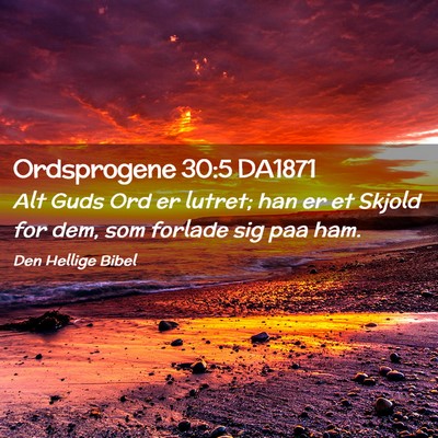 Picture 02 - Ordsprogene 30:5 DA1871 - Alt Guds Ord er lutret; han er et Skjold for dem, - Bible Verse Picture