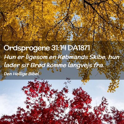 Picture 02 - Ordsprogene 31:14 DA1871 - Hun er ligesom en Købmands Skibe, hun lader sit - Bible Verse Picture