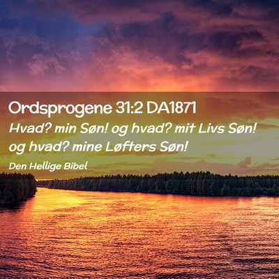Picture 02 - Ordsprogene 31:2 DA1871 - Hvad? min Søn! og hvad? mit Livs Søn! og hvad? - Bible Verse Picture
