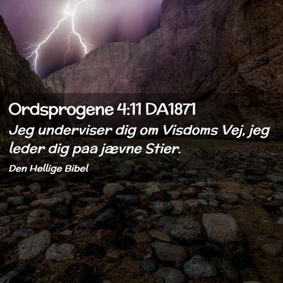 Picture 02 - Ordsprogene 4:11 DA1871 - Jeg underviser dig om Visdoms Vej, jeg leder dig - Bible Verse Picture