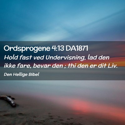 Picture 02 - Ordsprogene 4:13 DA1871 - Hold fast ved Undervisning, lad den ikke fare, - Bible Verse Picture