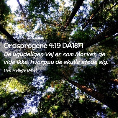 Picture 02 - Ordsprogene 4:19 DA1871 - De ugudeliges Vej er som Mørket, de vide ikke, - Bible Verse Picture