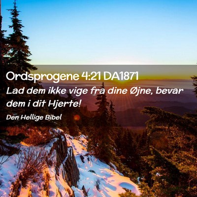 Picture 02 - Ordsprogene 4:21 DA1871 - Lad dem ikke vige fra dine Øjne, bevar dem i dit - Bible Verse Picture