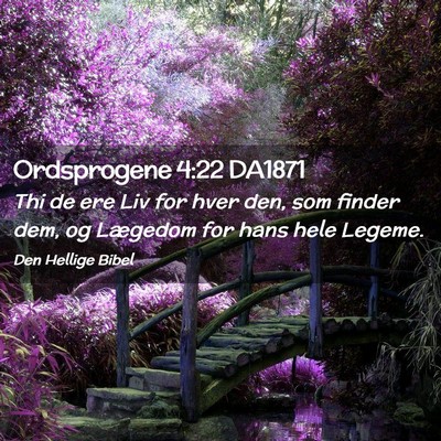 Picture 02 - Ordsprogene 4:22 DA1871 - Thi de ere Liv for hver den, som finder dem, og - Bible Verse Picture