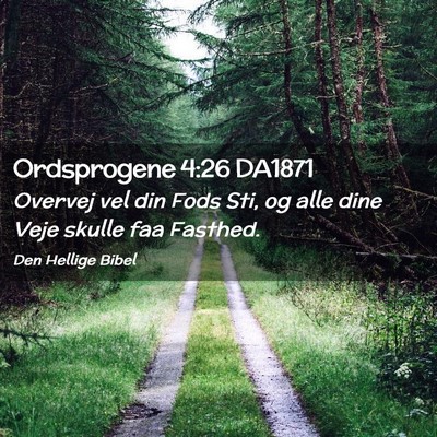 Picture 02 - Ordsprogene 4:26 DA1871 - Overvej vel din Fods Sti, og alle dine Veje - Bible Verse Picture
