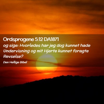 Picture 02 - Ordsprogene 5:12 DA1871 - og sige: Hvorledes har jeg dog kunnet hade - Bible Verse Picture