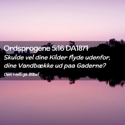 Picture 02 - Ordsprogene 5:16 DA1871 - Skulde vel dine Kilder flyde udenfor, dine - Bible Verse Picture