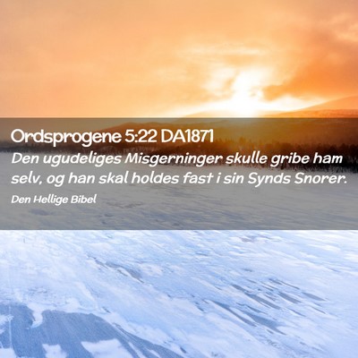 Picture 02 - Ordsprogene 5:22 DA1871 - Den ugudeliges Misgerninger skulle gribe ham - Bible Verse Picture