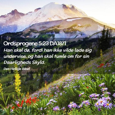 Picture 02 - Ordsprogene 5:23 DA1871 - Han skal dø, fordi han ikke vilde lade sig - Bible Verse Picture
